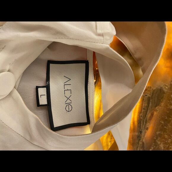 Alexis 100% silk tie blouse, L - Picture 12 of 13